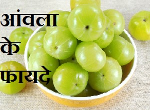 Benefits Of Amla For Hair