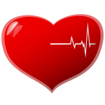 Beating heart