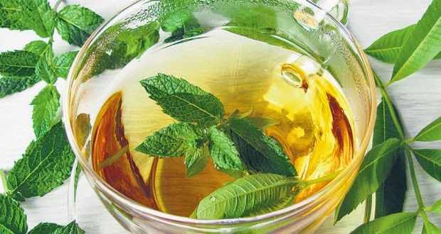 पुदीने की चाय