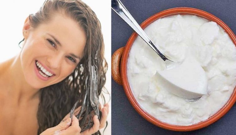 बालों के लिए दही के 4 फायदे - डैंड्रफ की समस्या जड़ से खत्म करें