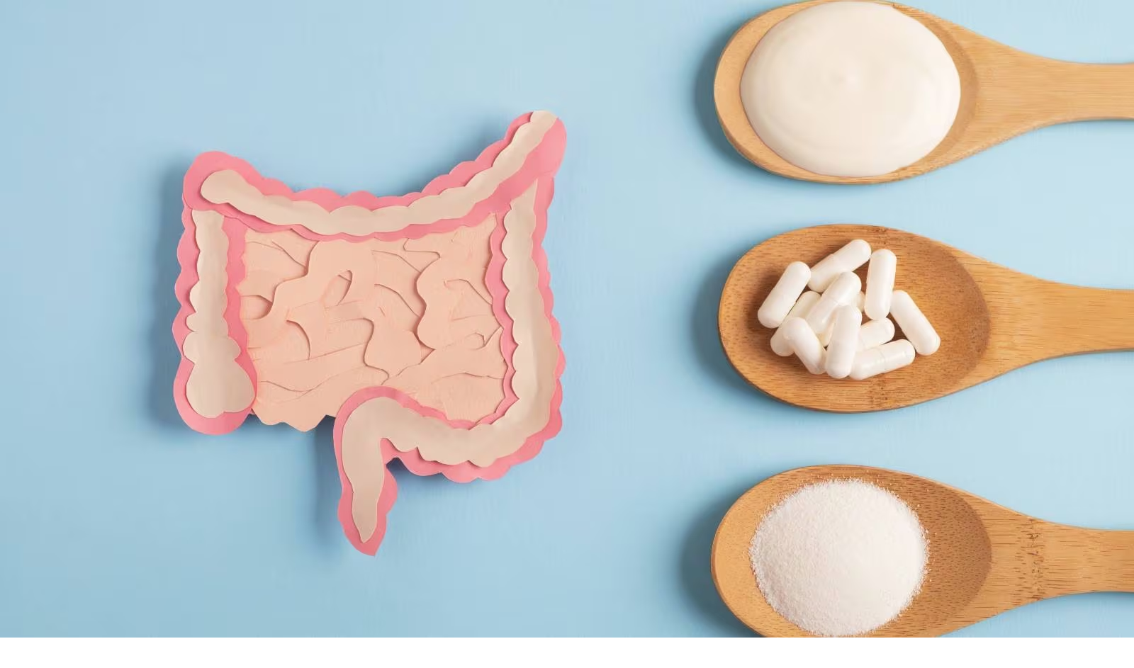 क्या है प्रोबायोटिक? (What is Probiotic?)