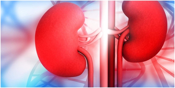 किडनी की समस्या को जन्म