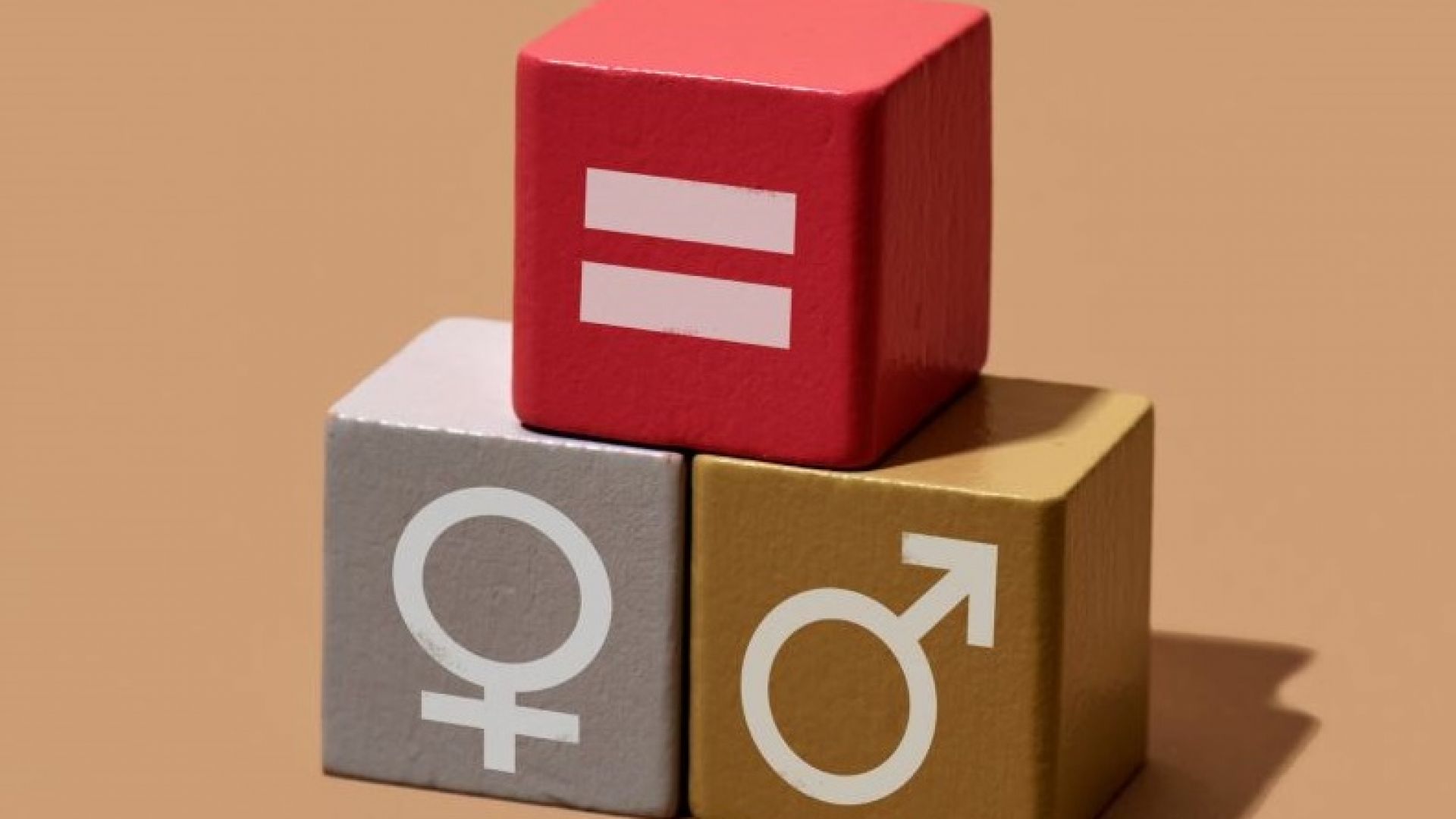 महिलाओं को पुरुष जितने सामान सैलरी का अधिकार