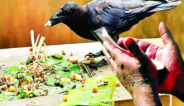 Pitru Paksha Shradh 2023