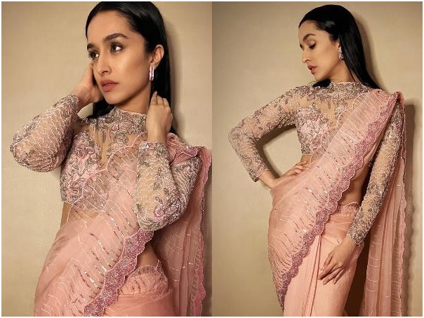 शियर एंब्रॉयडरी स्लीव्स ब्लाउज फॉर नवरात्री 