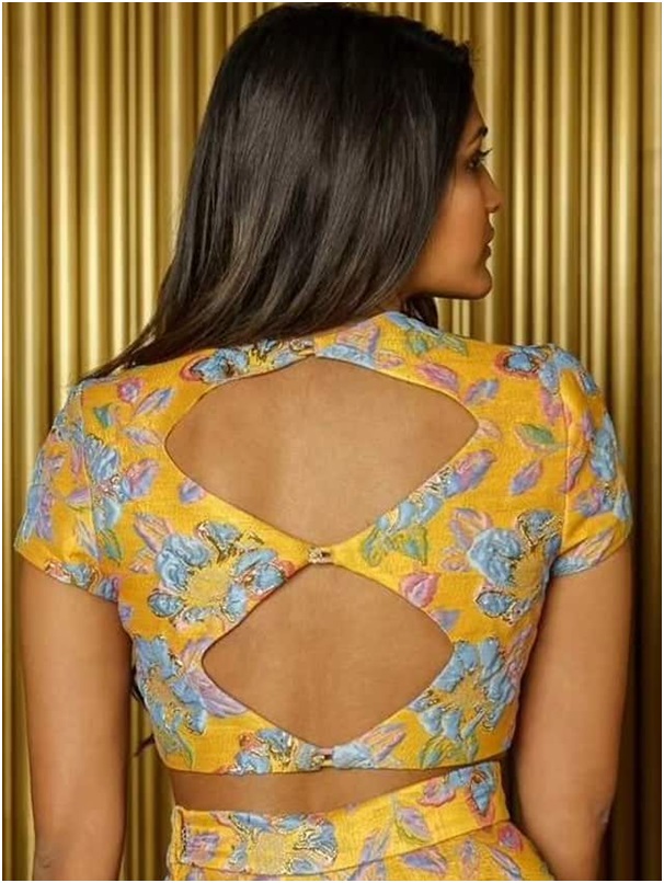मल्टीपल क्यूट बैक ब्लाउज डिजाइन