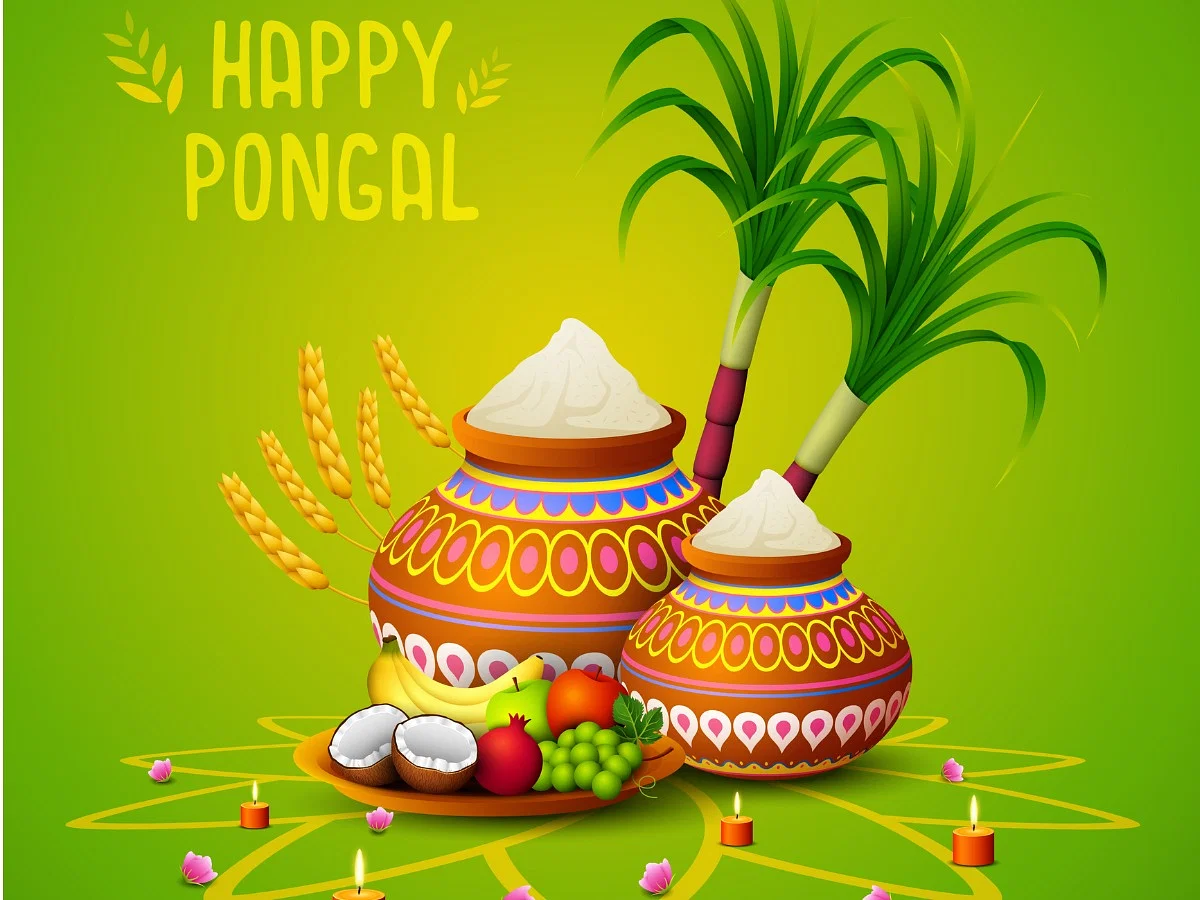 happy pongal