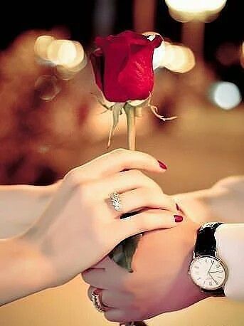 rose day