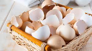 Egg Shell for Home Cleaning