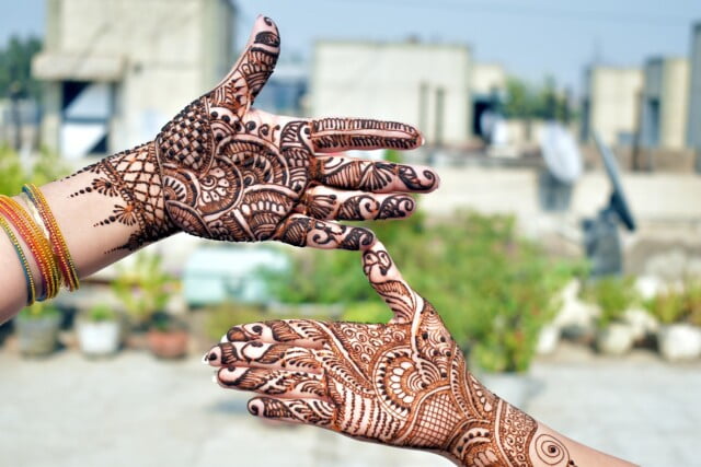 Traditional Pattern Mehndi Design