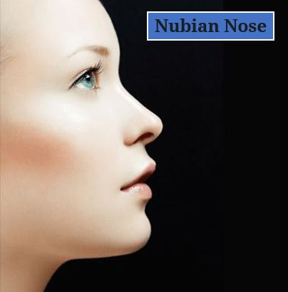Nubian Nose