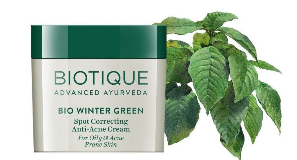 BIOTIQUE Bio Winter Green Spot Correcting anti-acne Cream