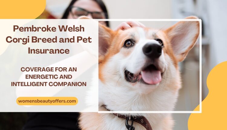 Pembroke Welsh Corgi