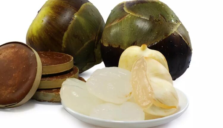 Exploring The Ways How Ice Apple Can Beat the Heat This Summer