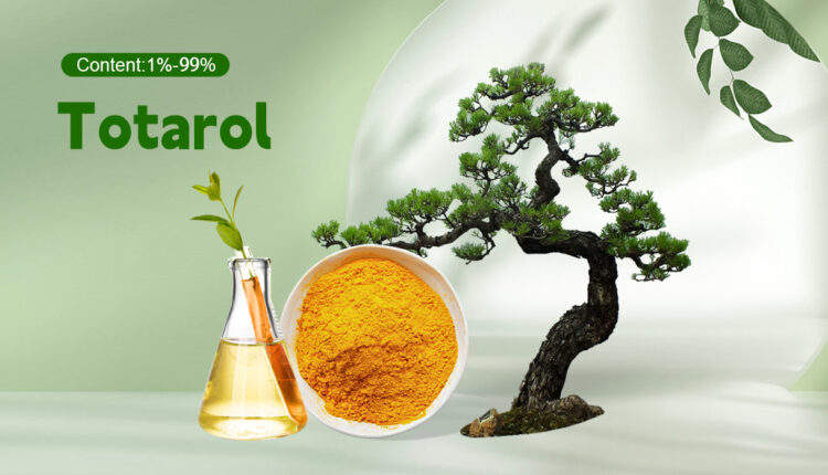 The Synergistic Future of Active Skincare Ingredients Pairing Totarol’s Purity with Oat Beta-Glucan’s Resilience