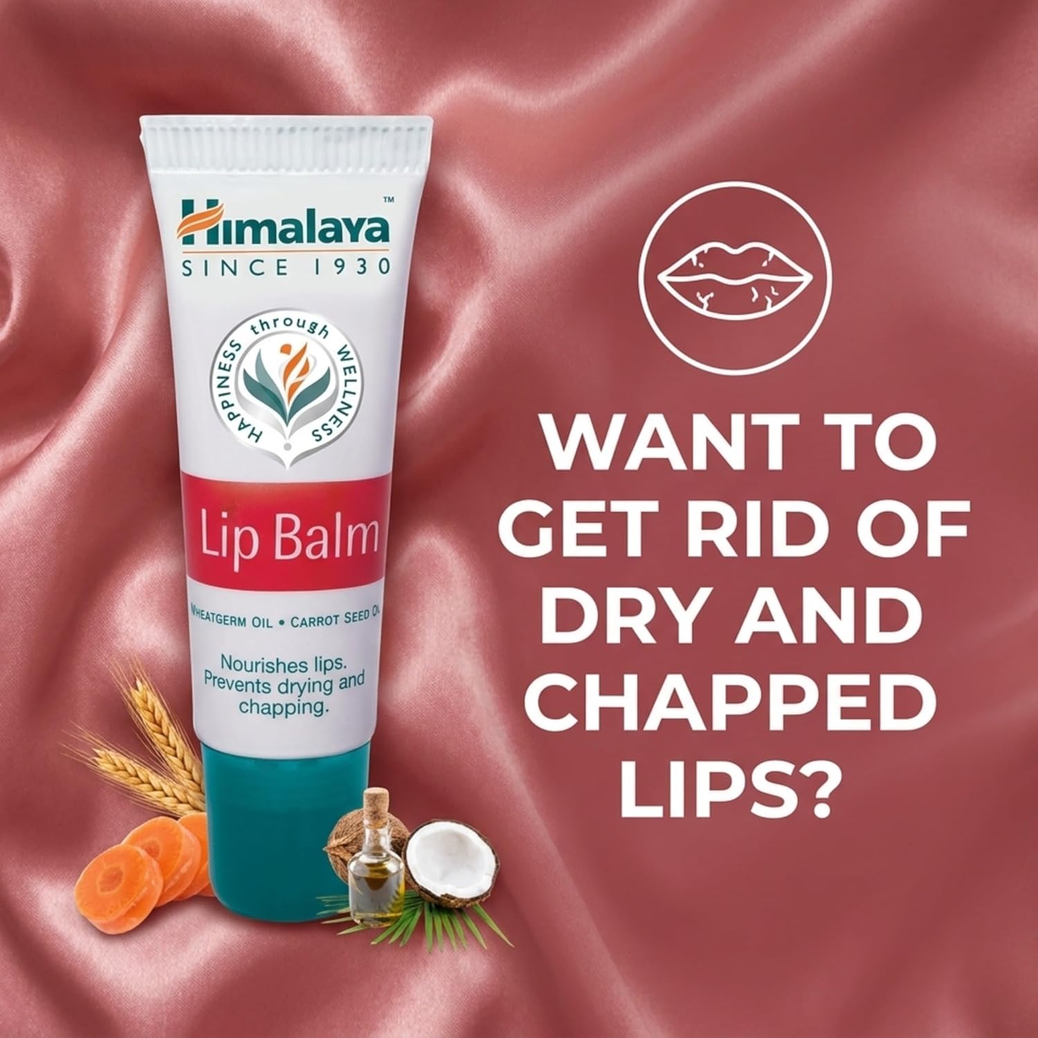 Himalaya Lip Balm